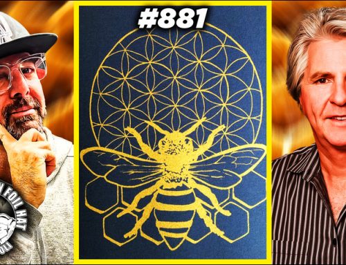 TFH #881:  The Sacred Geometry Of Bees With Brent Knudsen