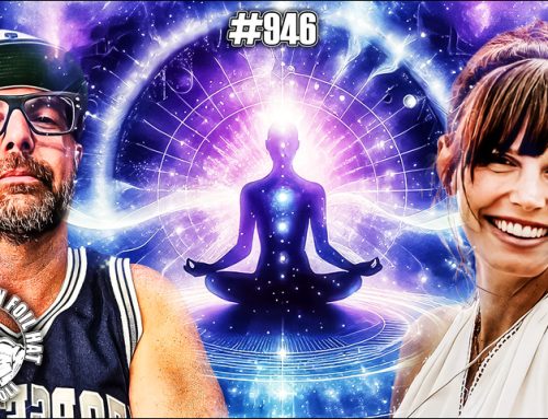 TFH #946: The Organic Matrix, Manifestation Mechanics & the 5D Shift with Amy Belair
