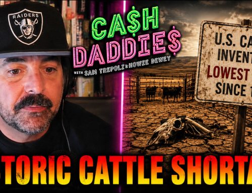 Cash Daddies 277: Cattle Shortage And Trump Corruption (8/16/26)