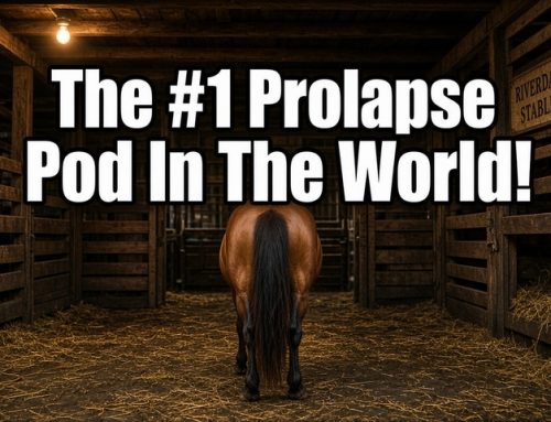 Whatever This Is #75:  The #1 Prolapse Pod In The World (10/30/26) (Premium)